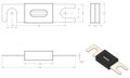 Victron DC ANL - poistka 300A/80V