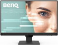 BenQ LCD BL2490 23,8" IPS/1920×1080/100Hz/5ms/DP/2xHDMI/Jack/VESA/Repro/Eye-Care